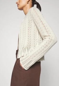 Anna Field Pointelle Bolero - Vest -Offwhite -Anna Field Verkoop 2024 00dfbc3c855b4716be91de3edb1a87a3