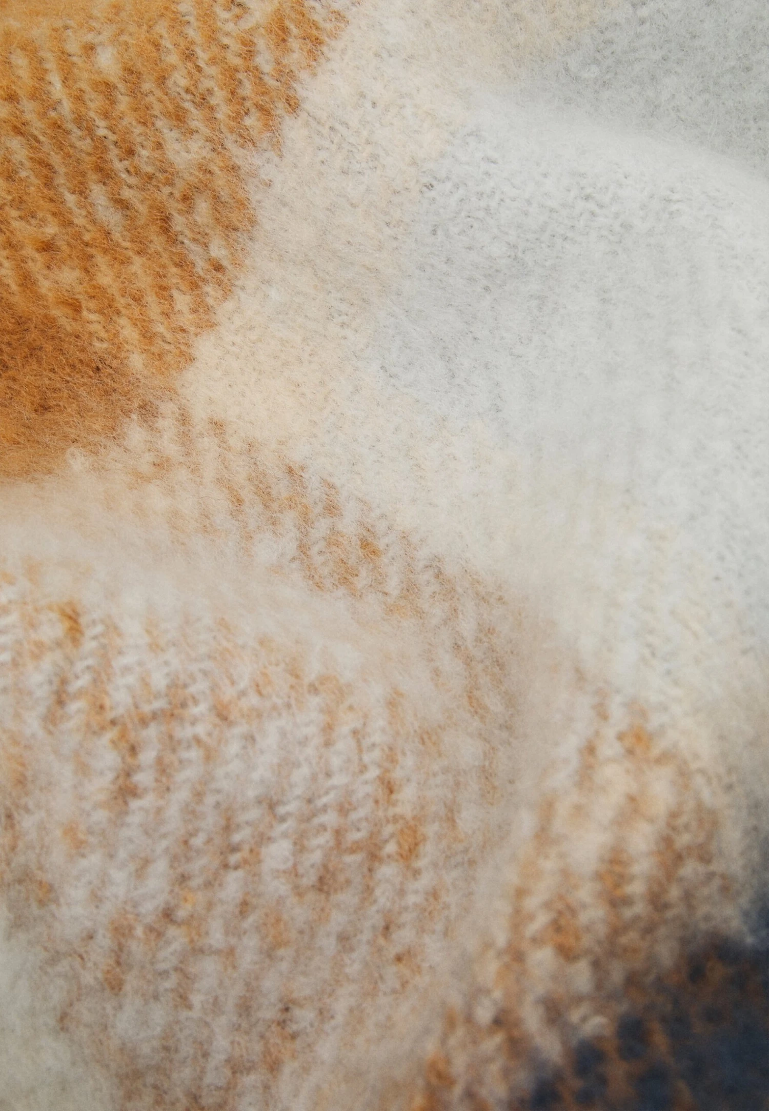 Anna Field Sjaal - Brown/White/Blue 2 Anna Field Sjaal - Brown/White/Blue - Afbeelding 2